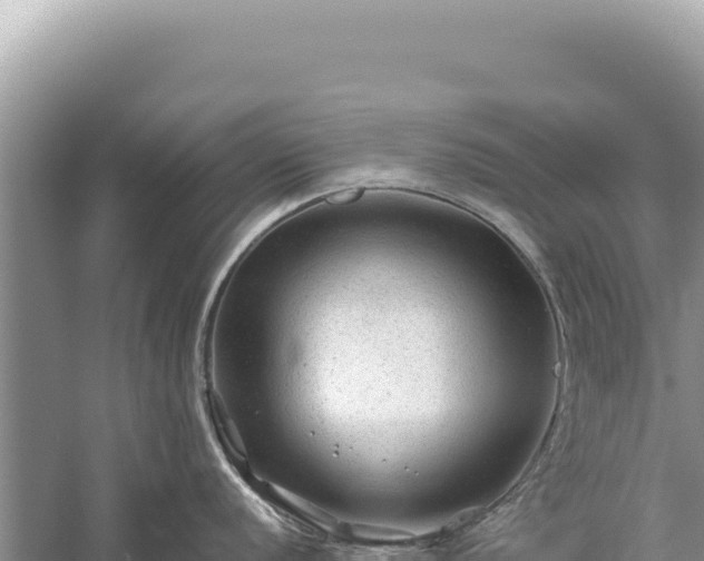 X0000059251056200510211624