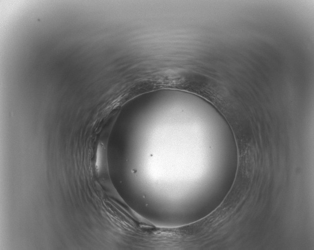 X0000059251058200510211623