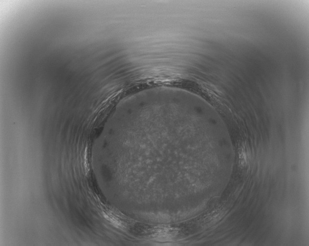 X0000059251060200510211623