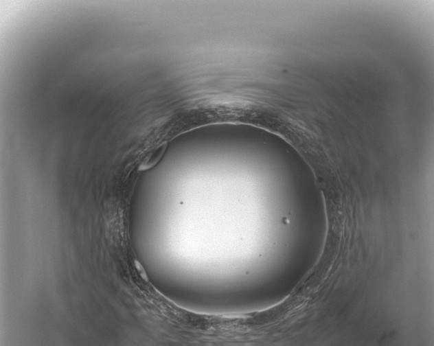 X0000059251061200510211623