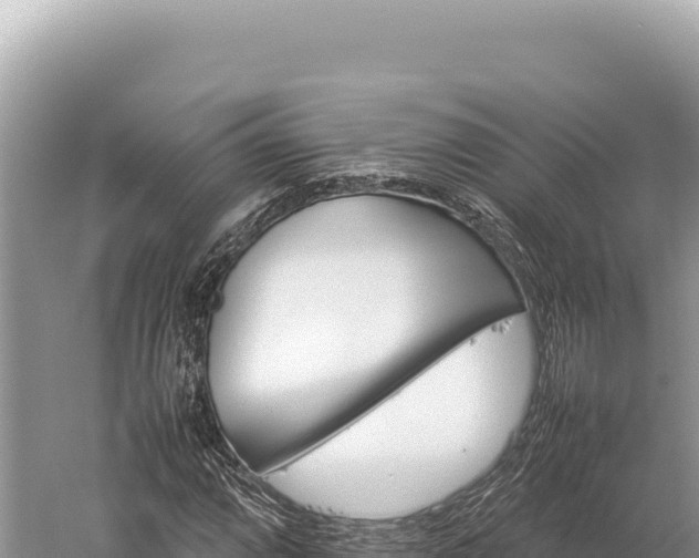 X0000059251064200510211623