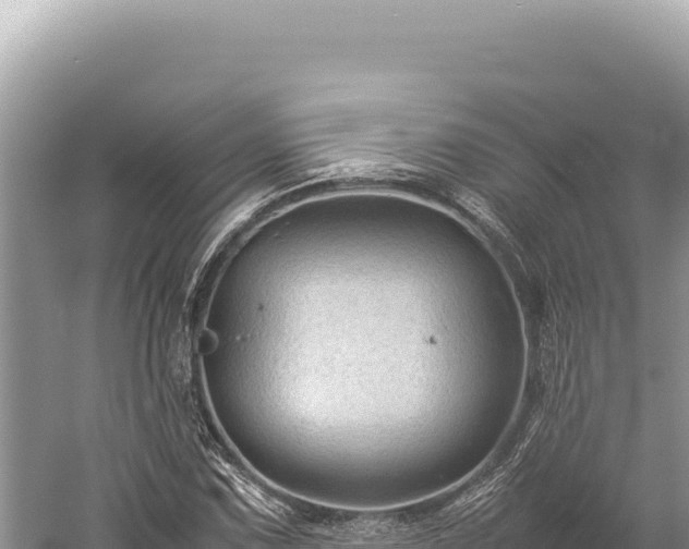 X0000059251067200510211623