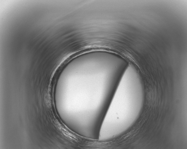 X0000059251068200510211623