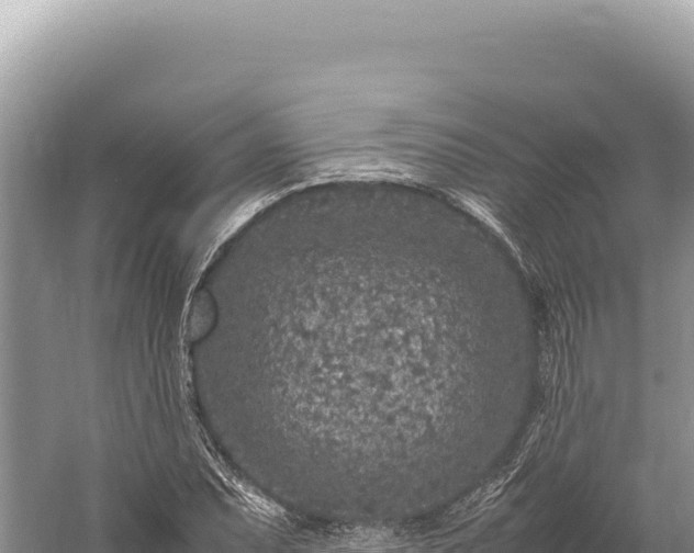 X0000059251071200510211623