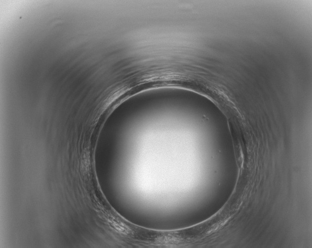 X0000059251073200510211623