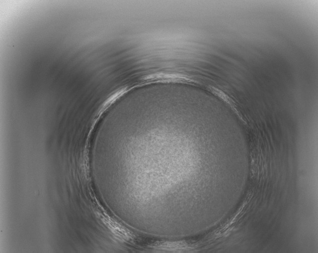 X0000059251074200510211623