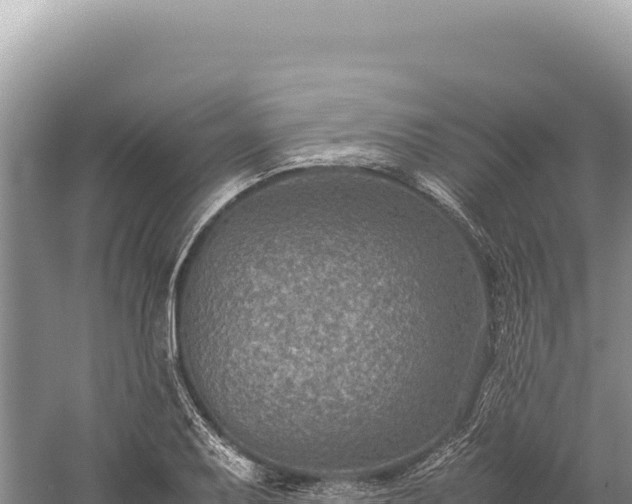 X0000059251079200510211622