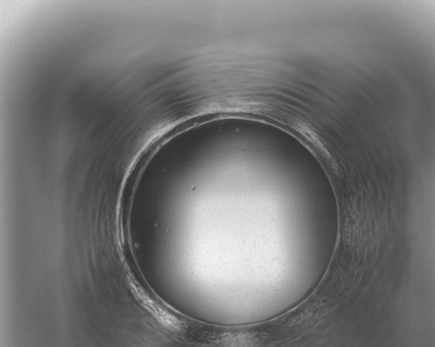 X0000059251080200510211622