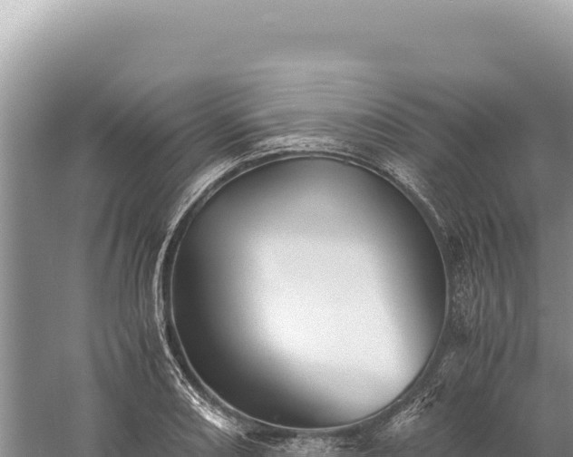 X0000059251082200510211622