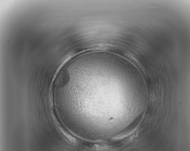 X0000059251083200510211622