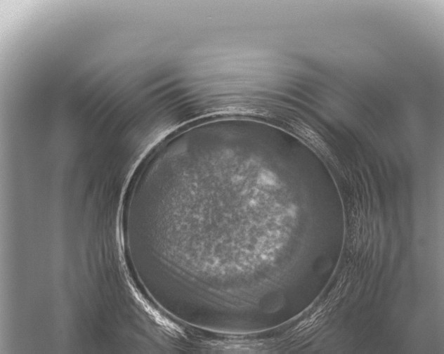 X0000059251084200510211622