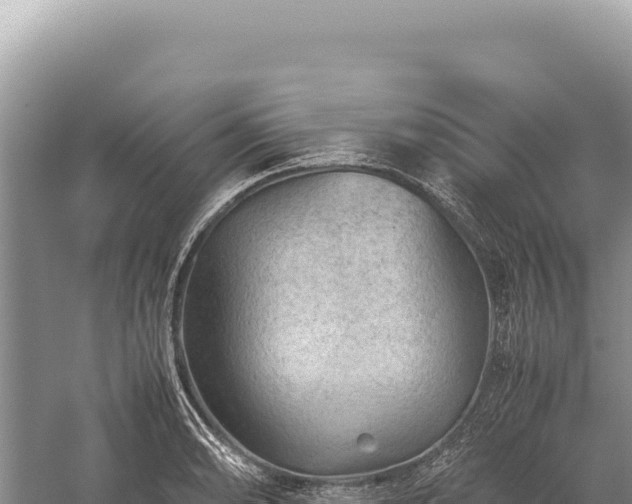 X0000059251086200510211622