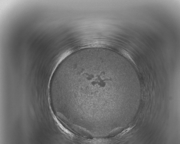 X0000059251087200510211622