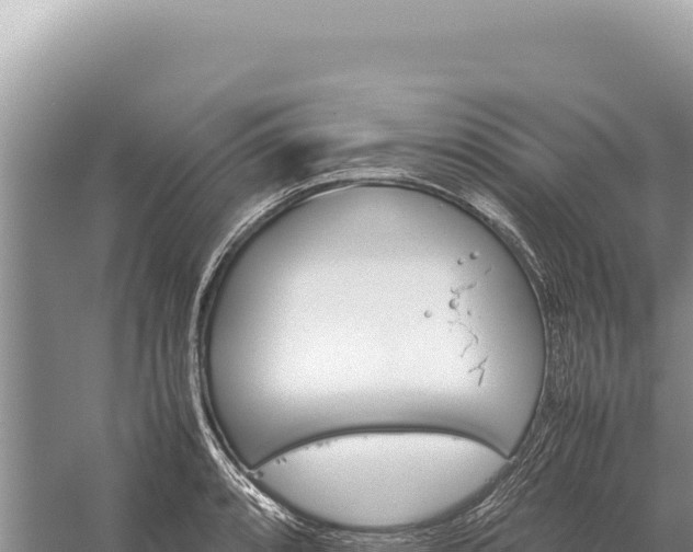 X0000059251088200510211622