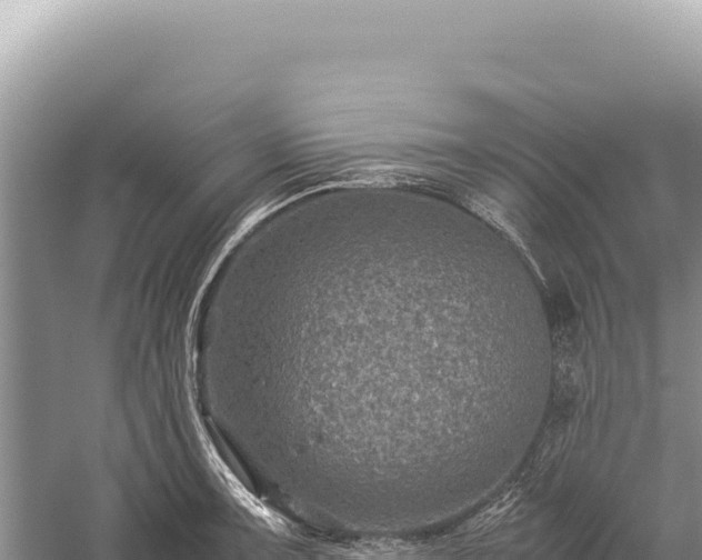 X0000059251091200510211622