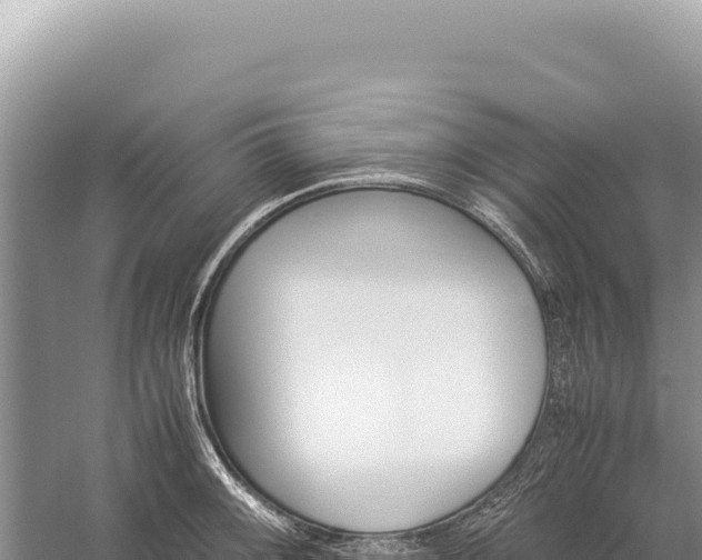 X0000059251092200510211622