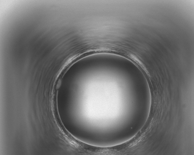 X0000059251093200510211622