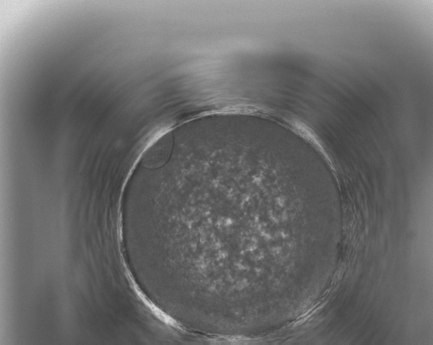 X0000059251095200510211622