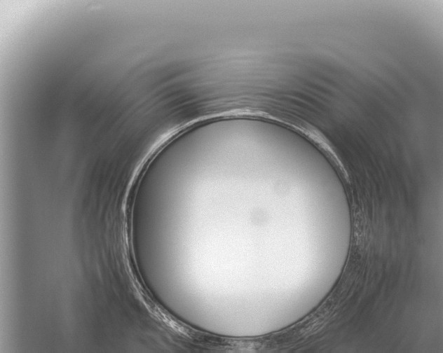 X0000059251096200510211622