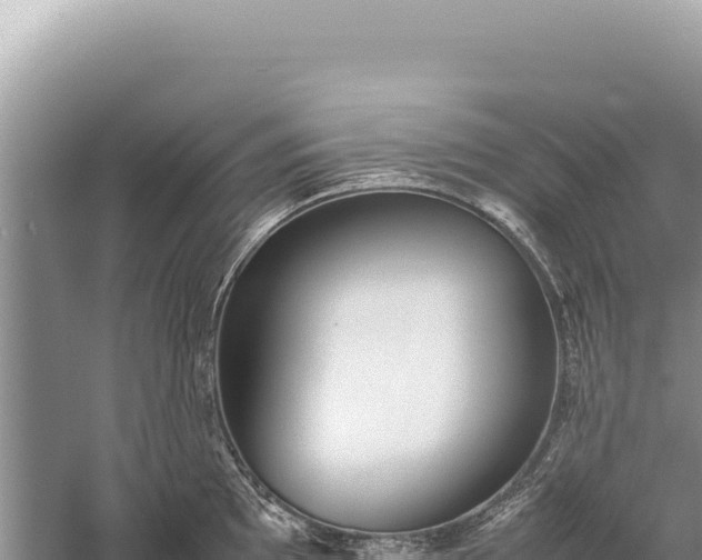 X0000059251097200510211622