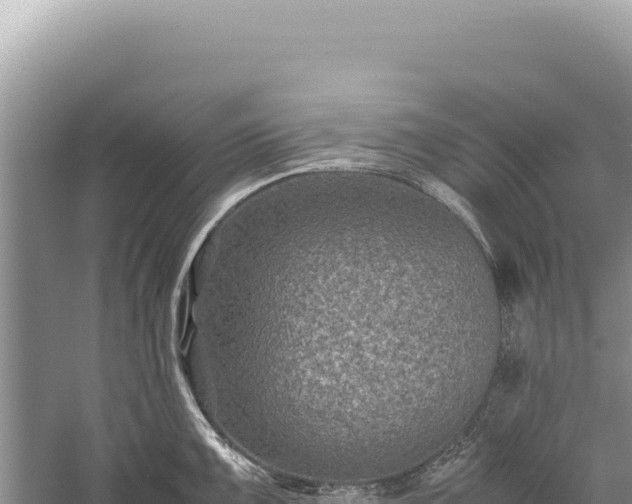 X0000059251099200510211622