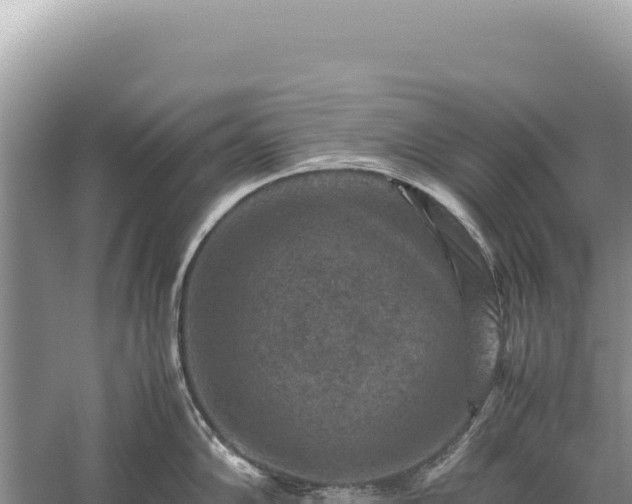 X0000059251102200510211622