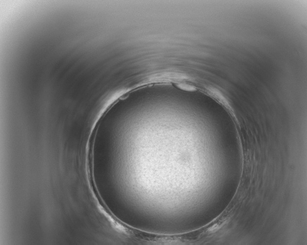 X0000059251103200510211622