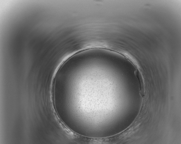 X0000059251104200510211622