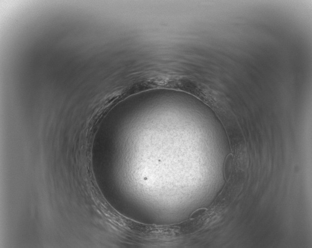 X0000059251105200510211621