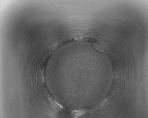 X0000059251106200510211621