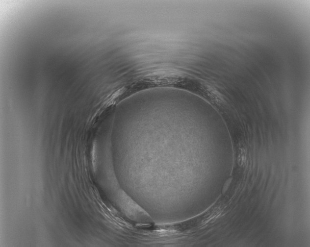 X0000059251108200510211621