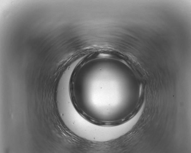 X0000059251110200510211621