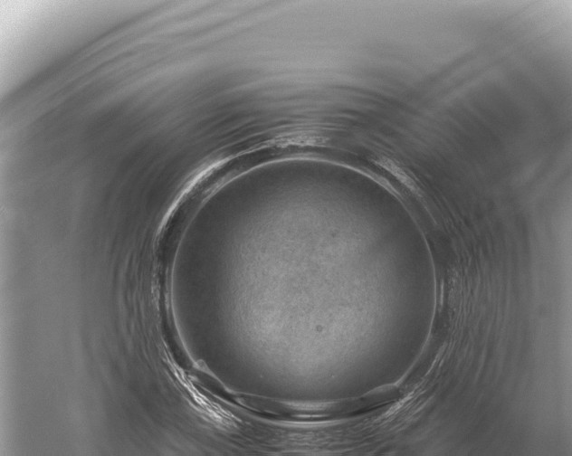 X0000059251115200510211621