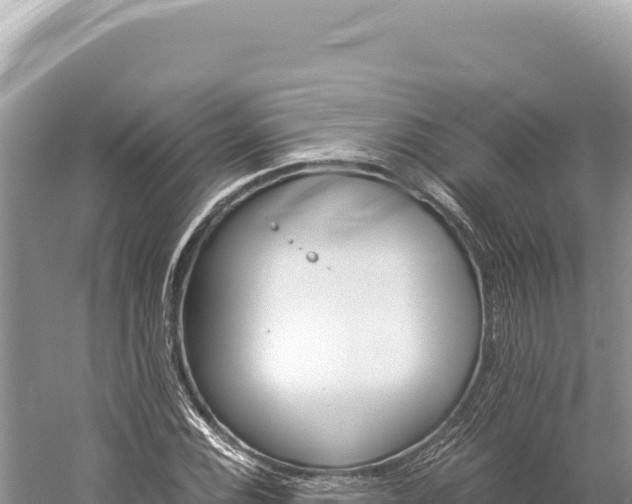 X0000059251116200510211621