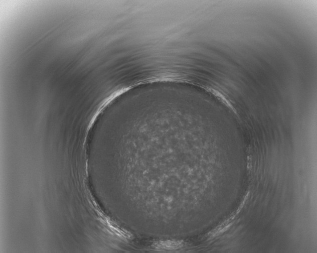 X0000059251117200510211621