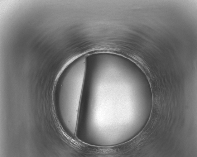 X0000059251120200510211622