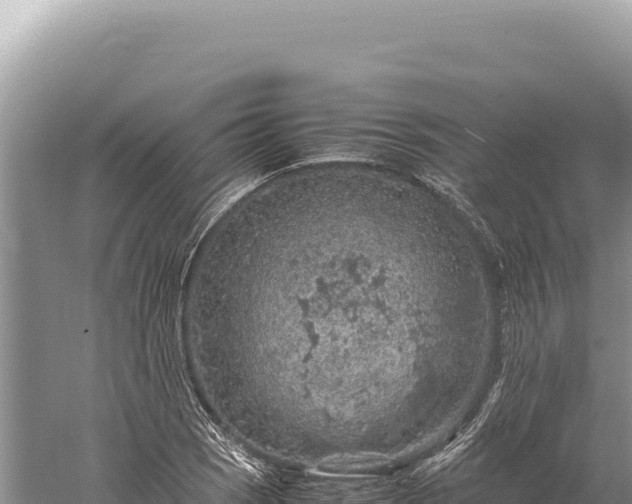 X0000059251121200510211622