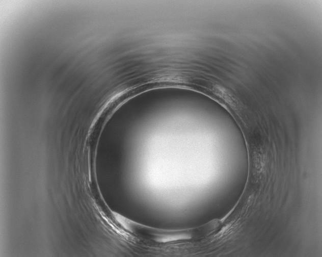 X0000059251123200510211622