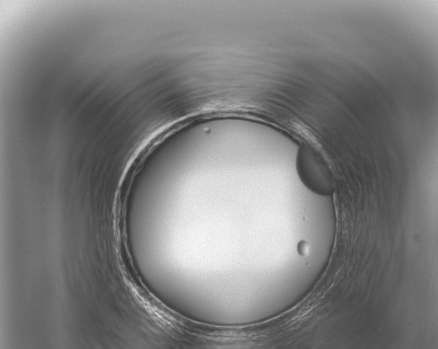 X0000059251124200510211622