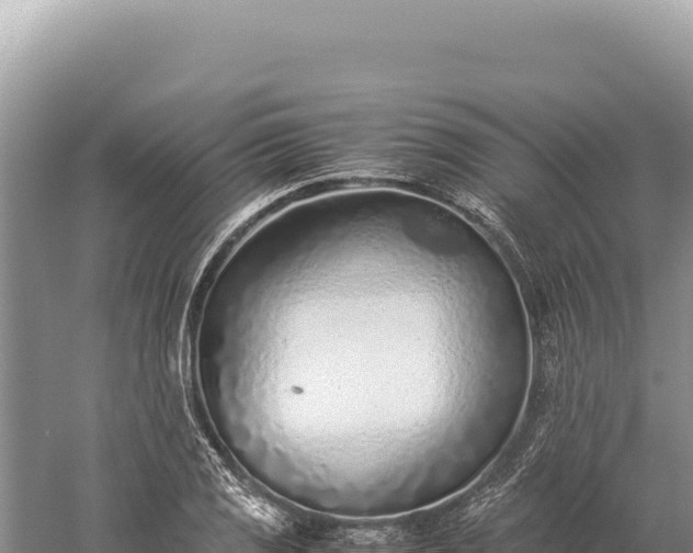 X0000059251125200510211622