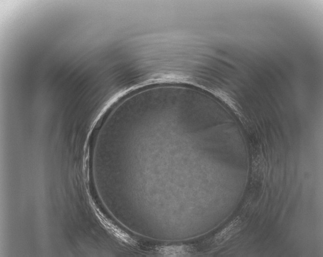 X0000059251126200510211622