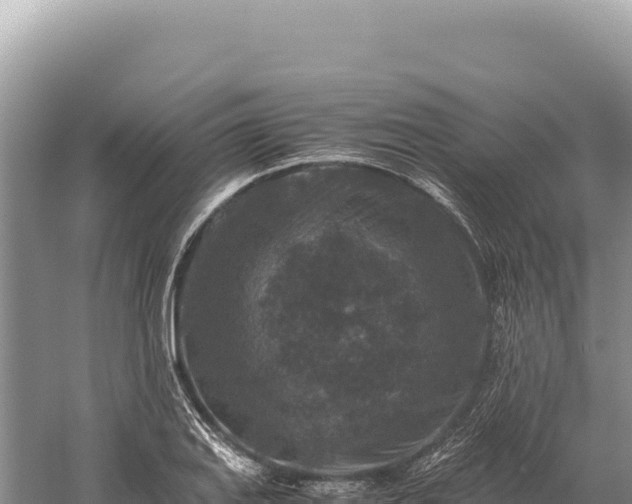 X0000059251127200510211622