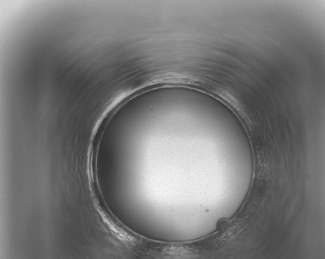 X0000059251128200510211622