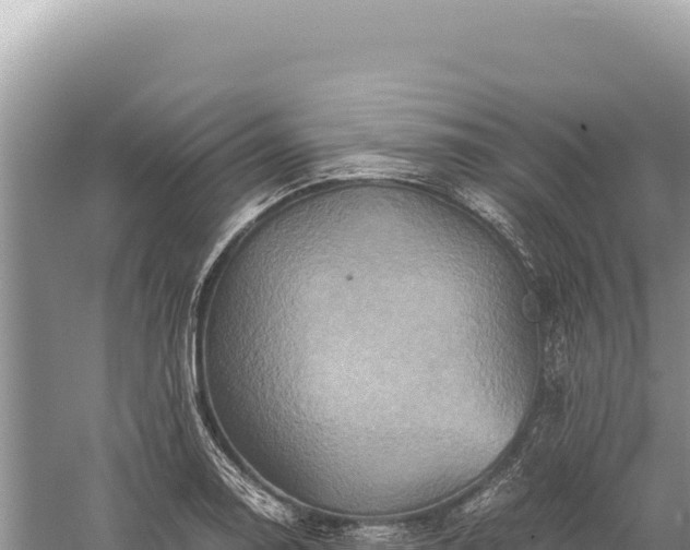 X0000059251130200510211622