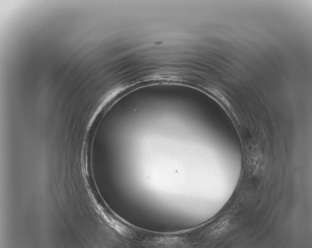 X0000059251131200510211622