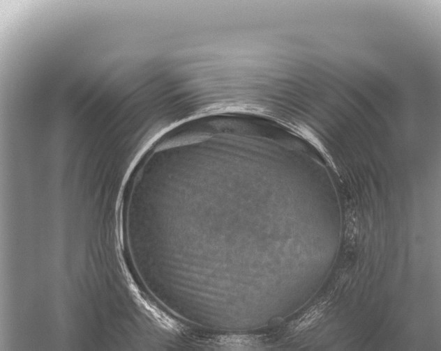 X0000059251132200510211622