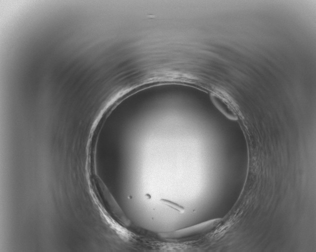 X0000059251136200510211622