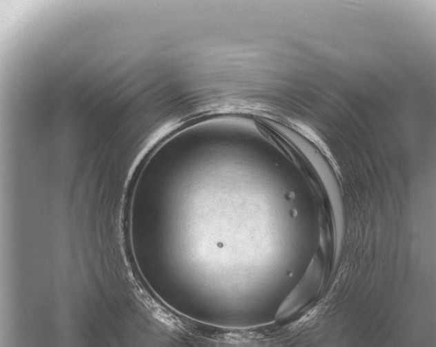 X0000059251138200510211622