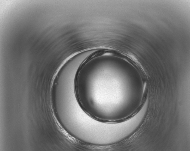 X0000059251140200510211622