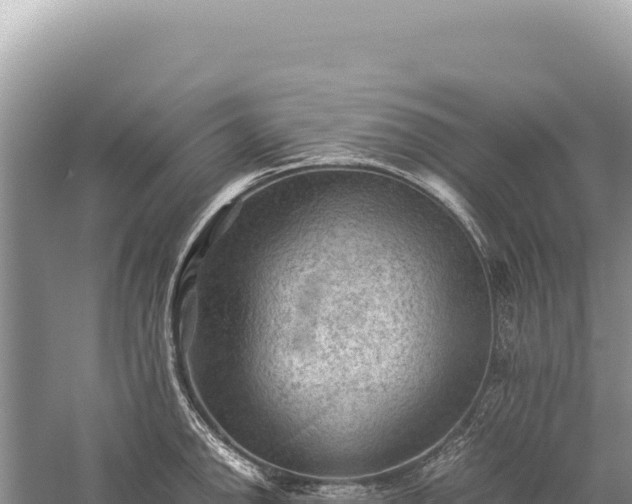 X0000059251142200510211622